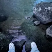 ウッチョの画像