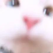 狂乱の画像