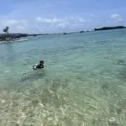gayaoの画像