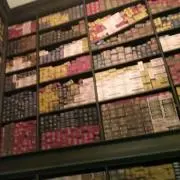 【プロフ読んでね】セレスの画像