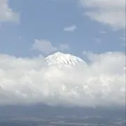 minminの画像