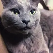 おゆ