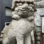 kokon
