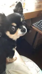 ミルク