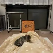 こげぱんの画像