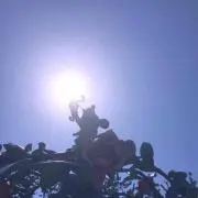 Ryu-Kai