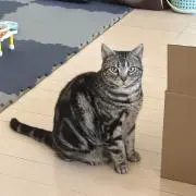 Chifumiの画像