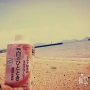 ちひろの画像