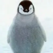 ゆきまつり