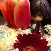 海月/プロフ確認くださいの画像