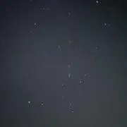 みの画像