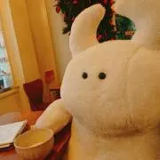 ほしの画像