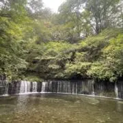 榊　神経質な方ご遠慮下さい。の画像