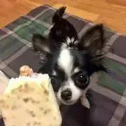 みらいこの画像