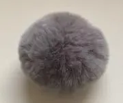 すすきの画像