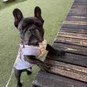 あめの画像