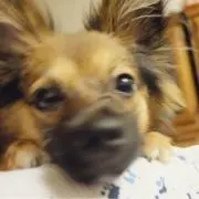 優の画像