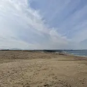 カードキャプターさくら 最終回直前記念フェア クリアファイル 2枚CLAMP展 CLAMP画業30周年記念 クリアファイル カードキャプターさくら - メルカリ