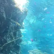 やまち