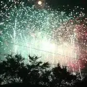 しろの画像