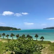 アデューの画像