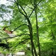 そら