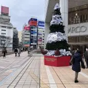 ソラニン