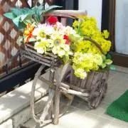 HANA❁の画像