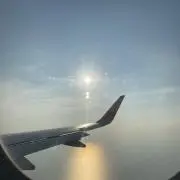 れんこの画像