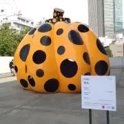 ともにゃんの画像