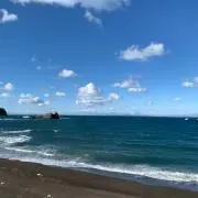 y.n