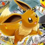ハリネズミの画像