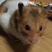 そうたろう