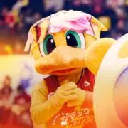 未使用・直筆サイン入り】三遠ネオフェニックス 大浦颯太 3点セット