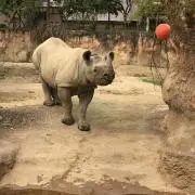 粉もん大好きの画像