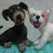 ❤️nicomaruco❤️の画像