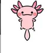 XOK1_04の画像