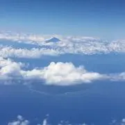 シキの画像
