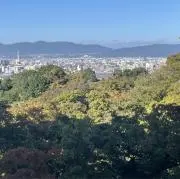 ギガンの画像