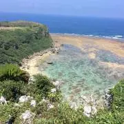kureoの画像