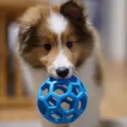zacの画像