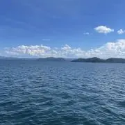 ハチミツ