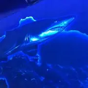 黄色いメガネの画像