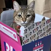 すーみ