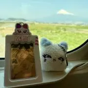 Leonisの画像