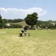 Kosukeの画像