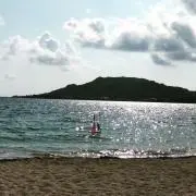 noe