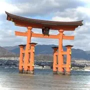 抹茶の画像