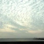 のっぺ