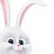 aoの画像